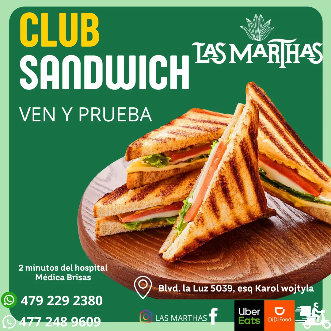 Diseño 13