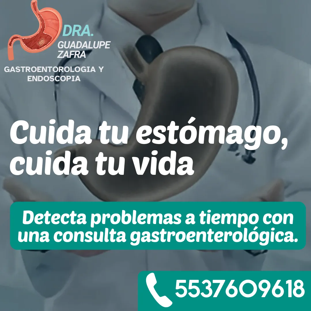 Diseño 6