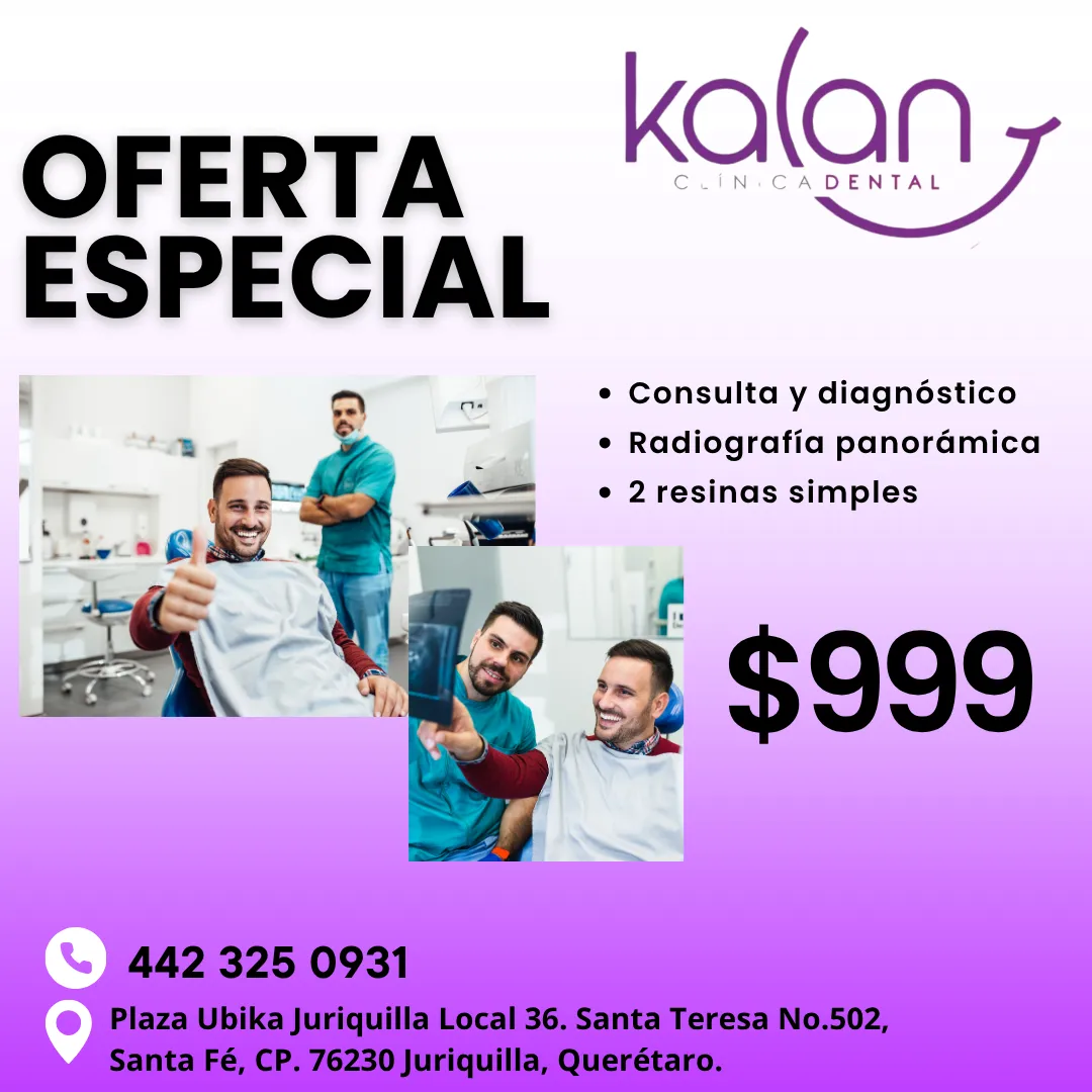 Diseño 61
