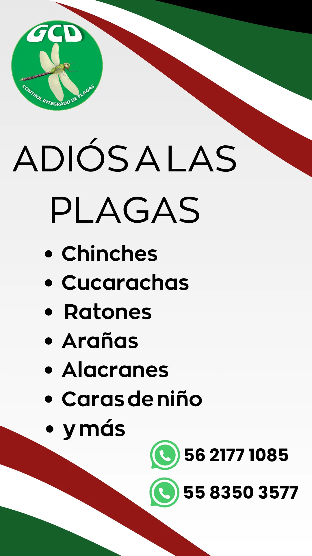 Diseño 71