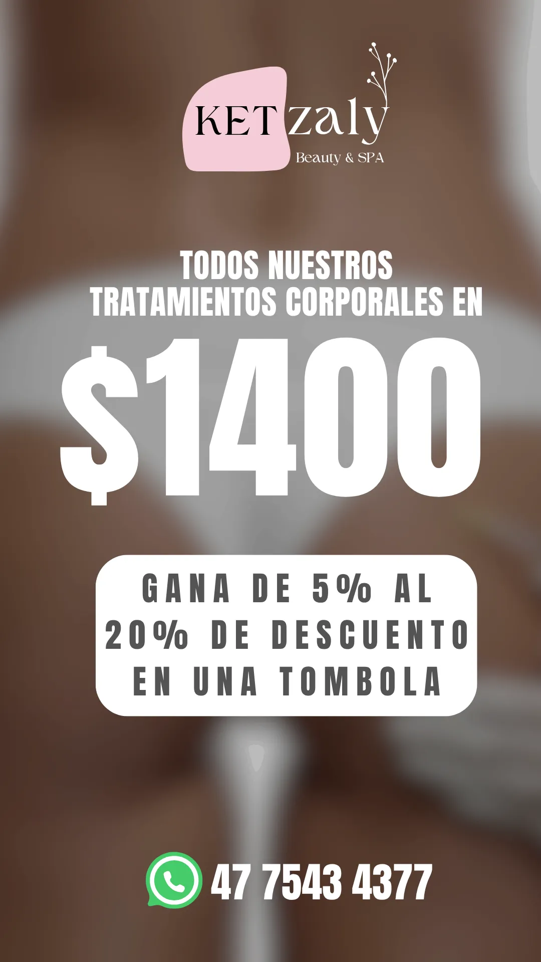 Diseño 93