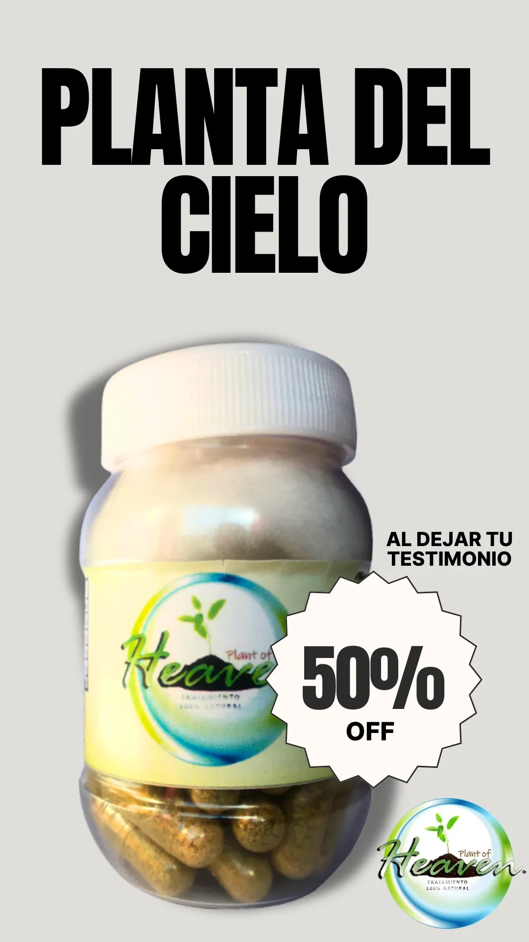 Diseño 13