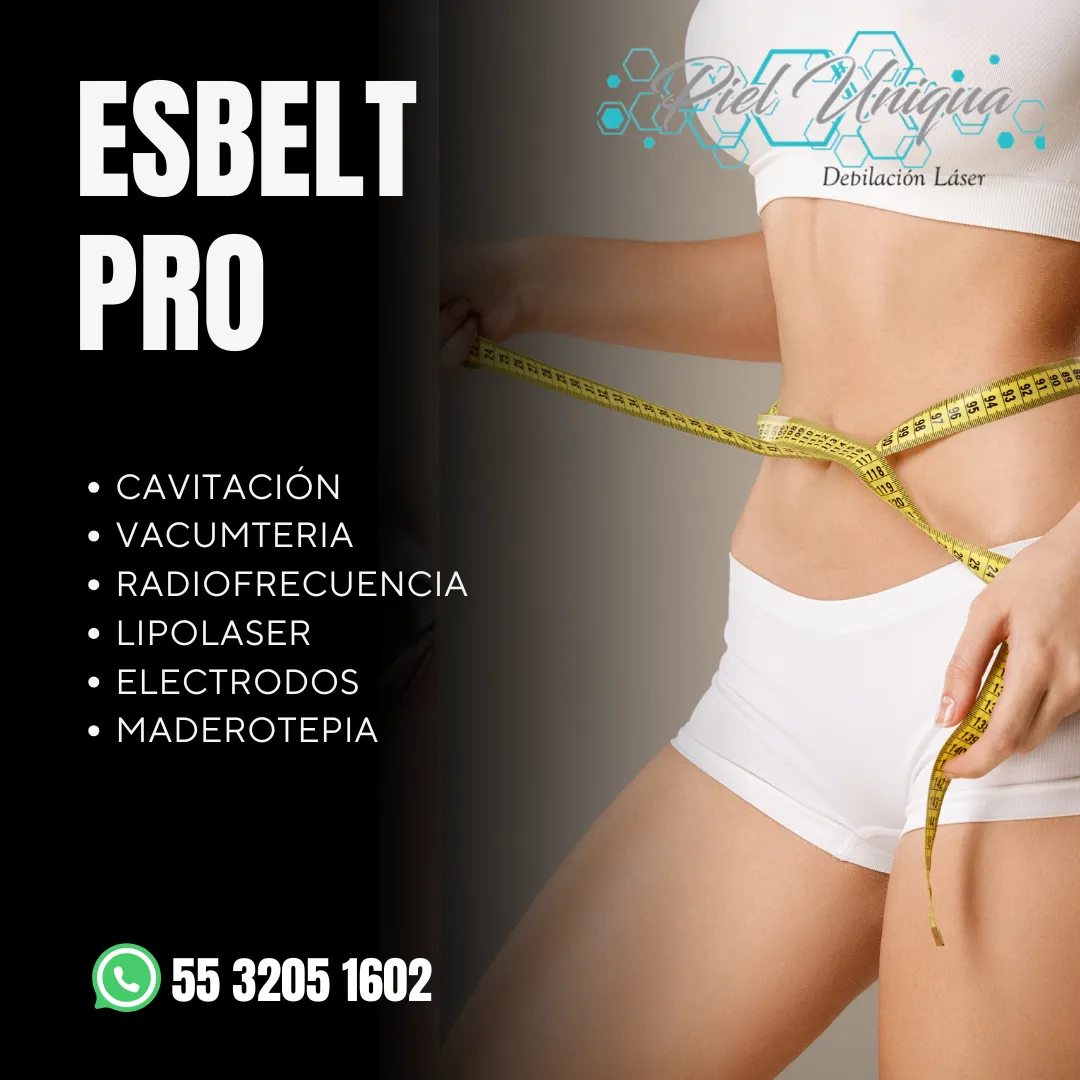 Diseño 44