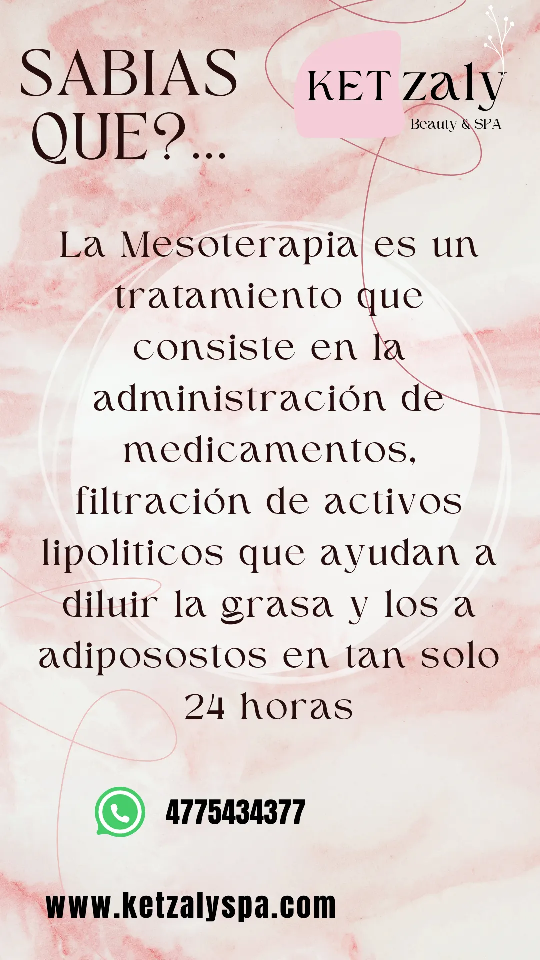 Diseño 42