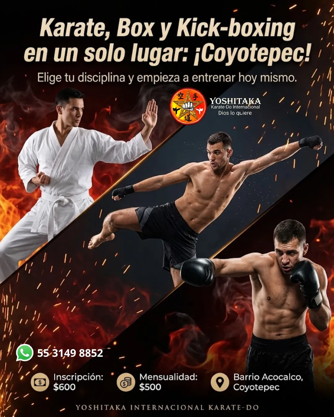 Diseño 17