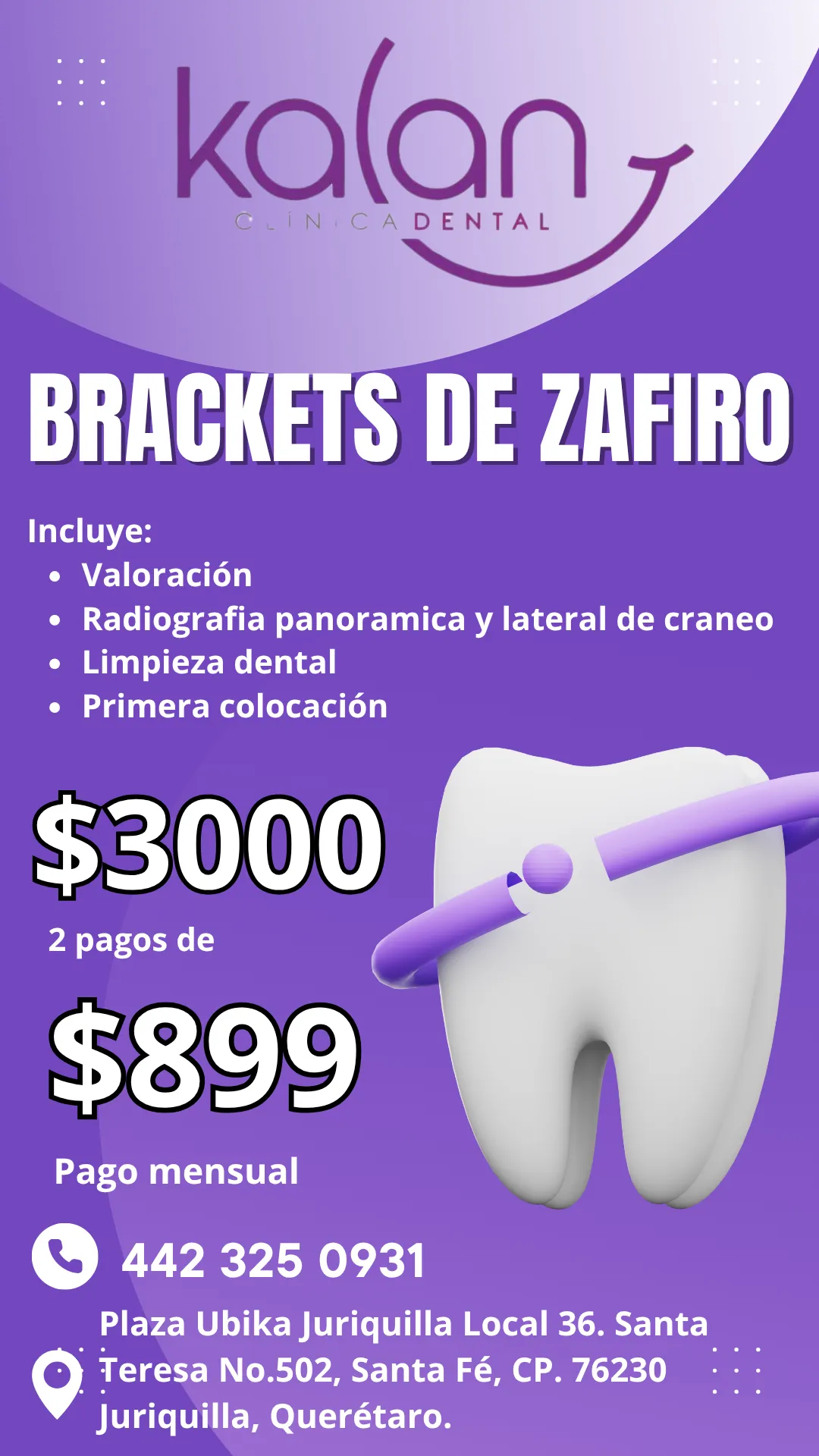 Diseño 117
