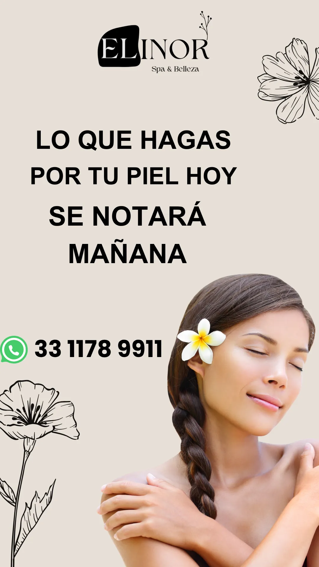 Diseño 31