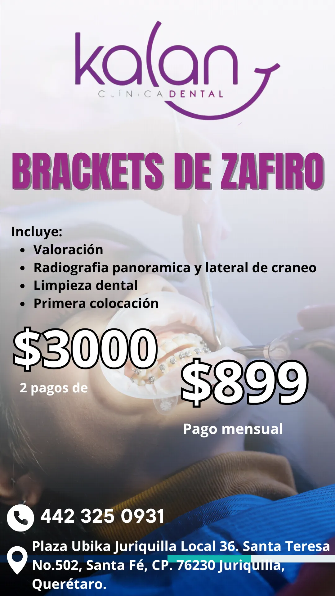Diseño 110