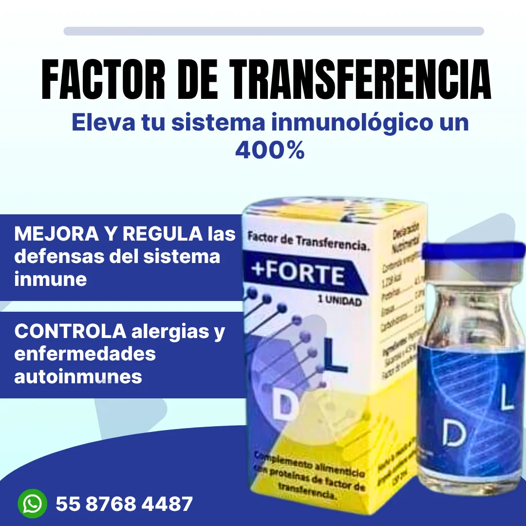 Diseño 2