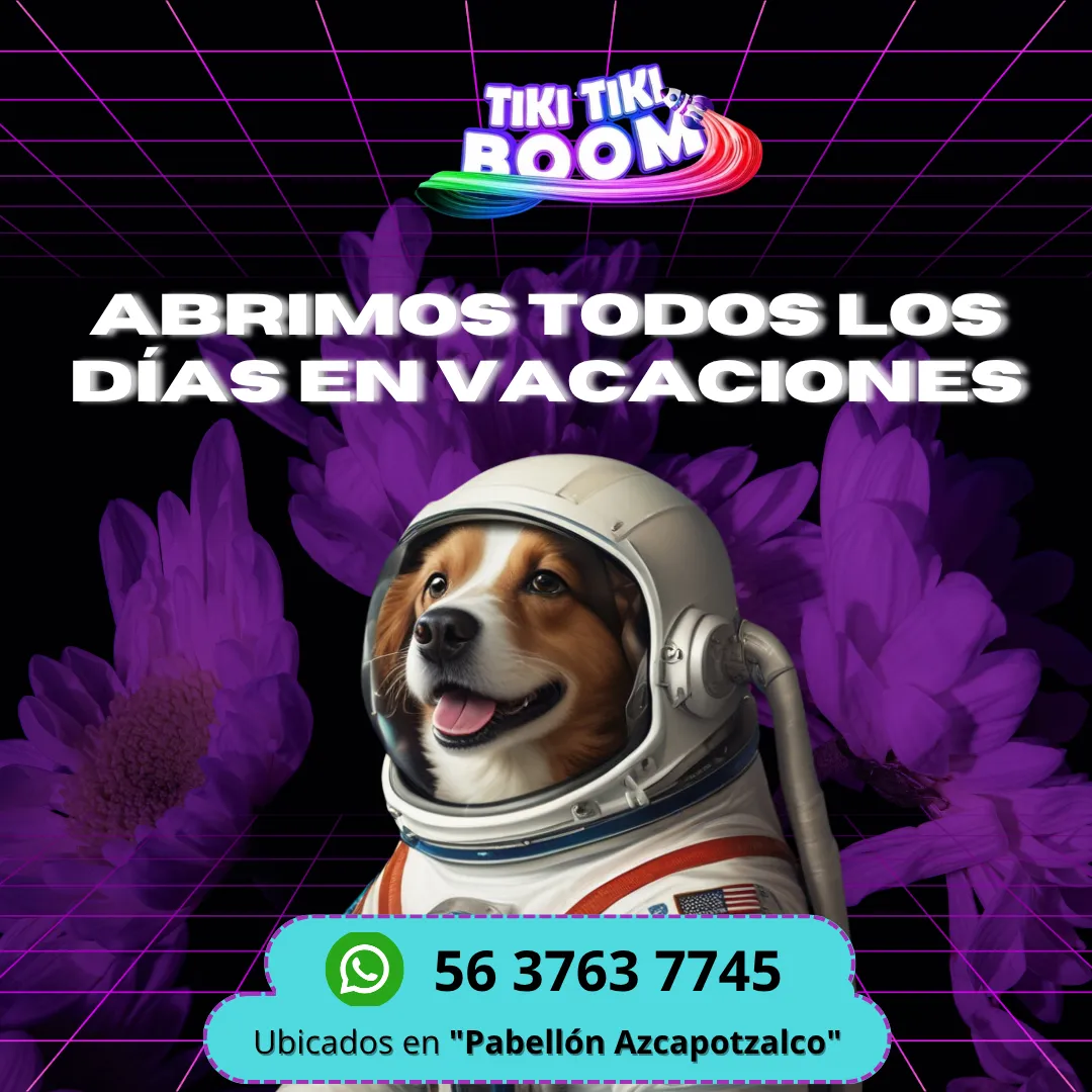 Diseño 6