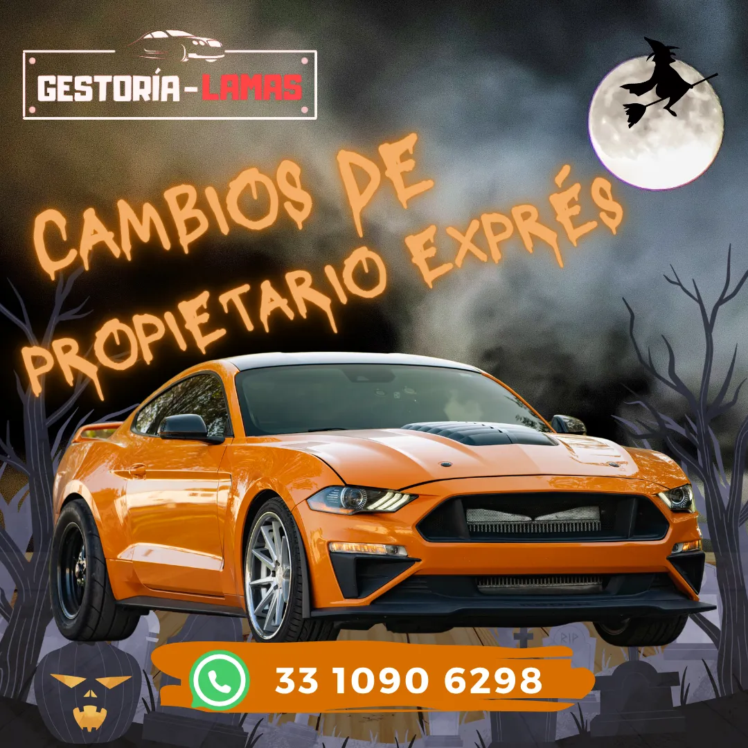 Diseño 138