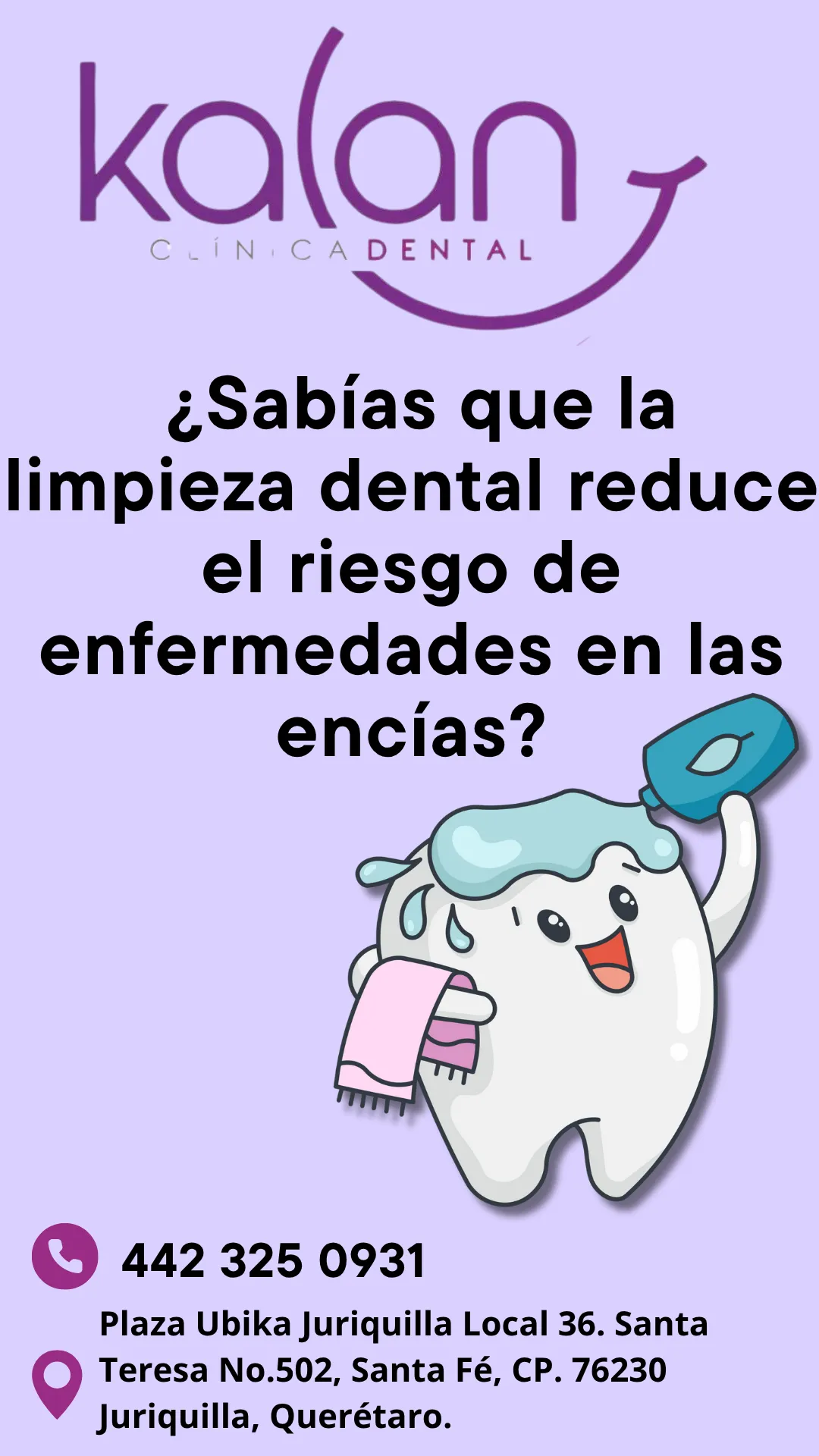 Diseño 71