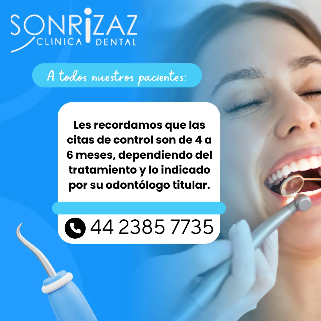 Diseño 13