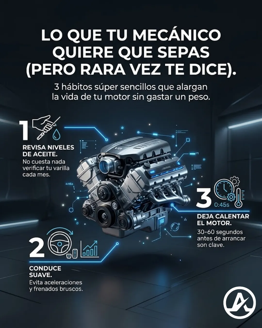 Diseño 16