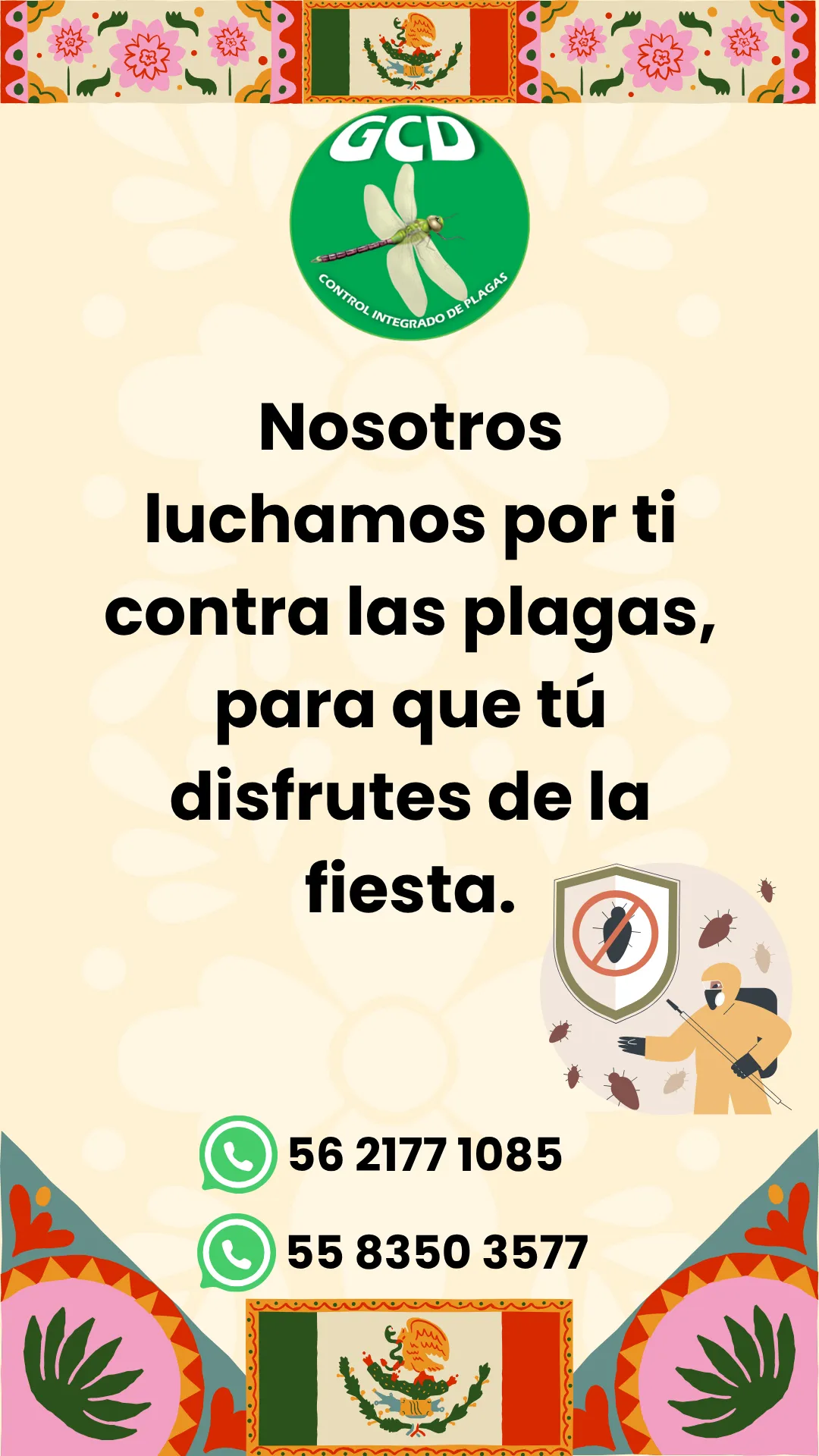 Diseño 79