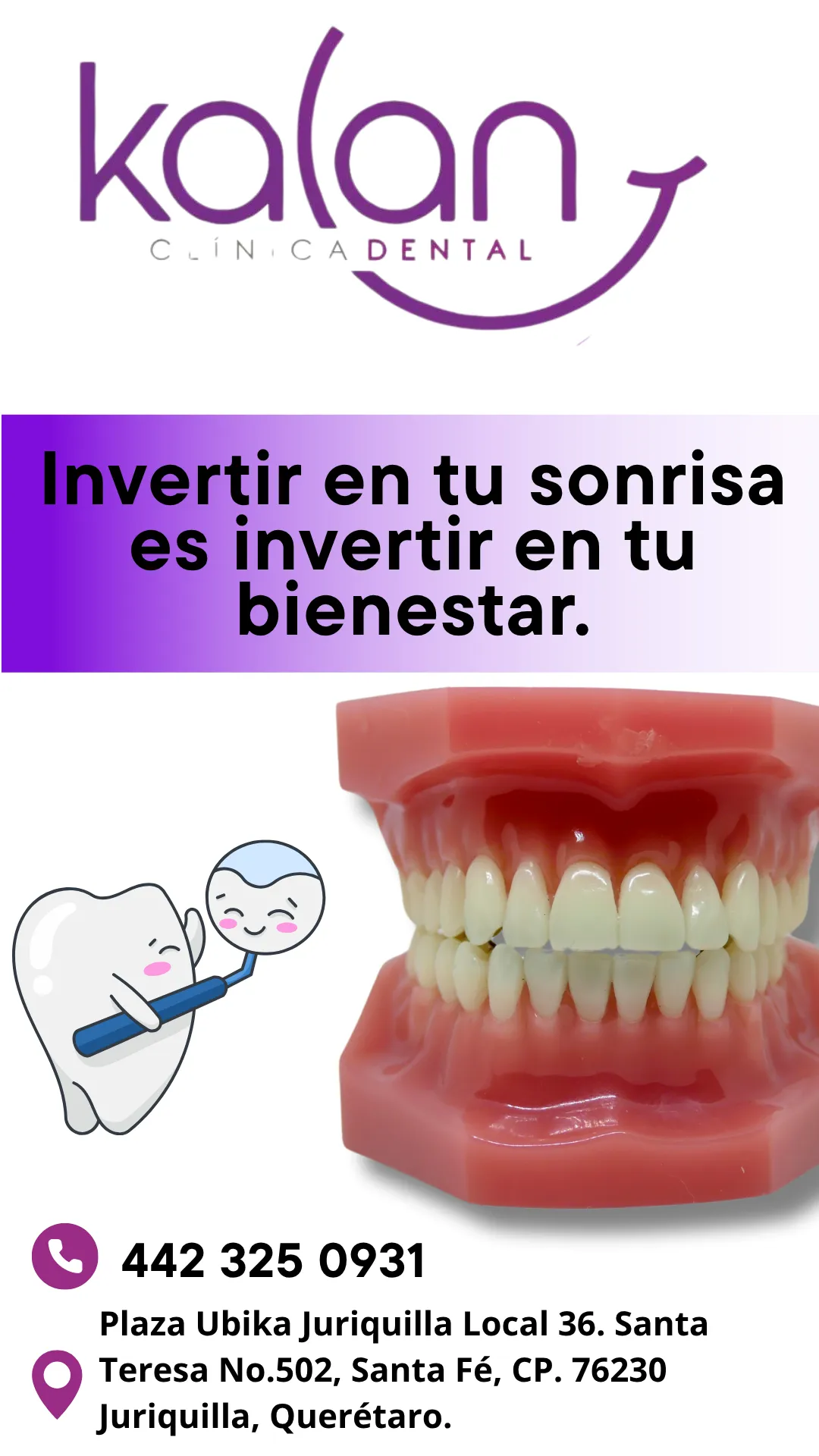 Diseño 81