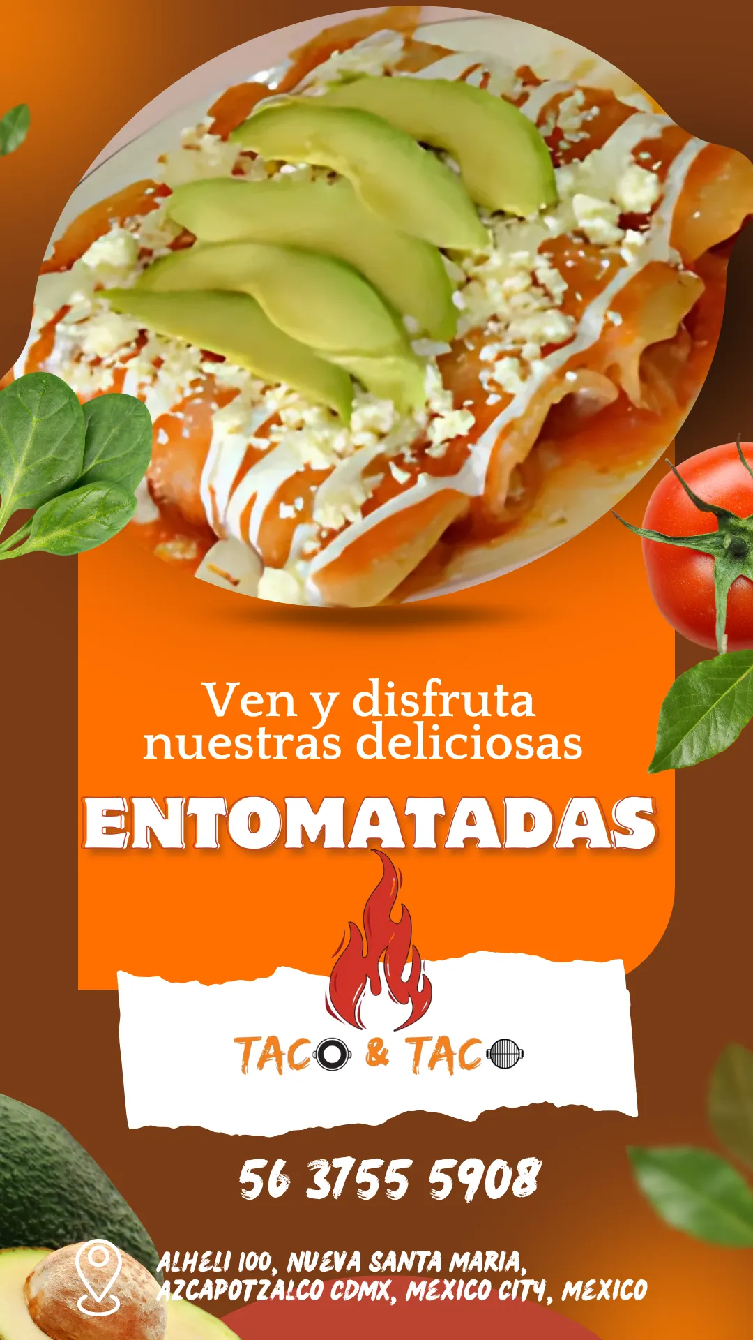 Diseño 11