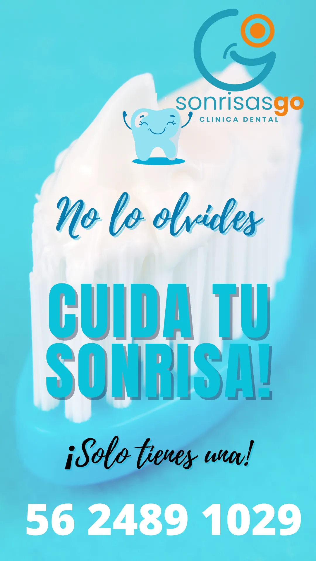Diseño 107