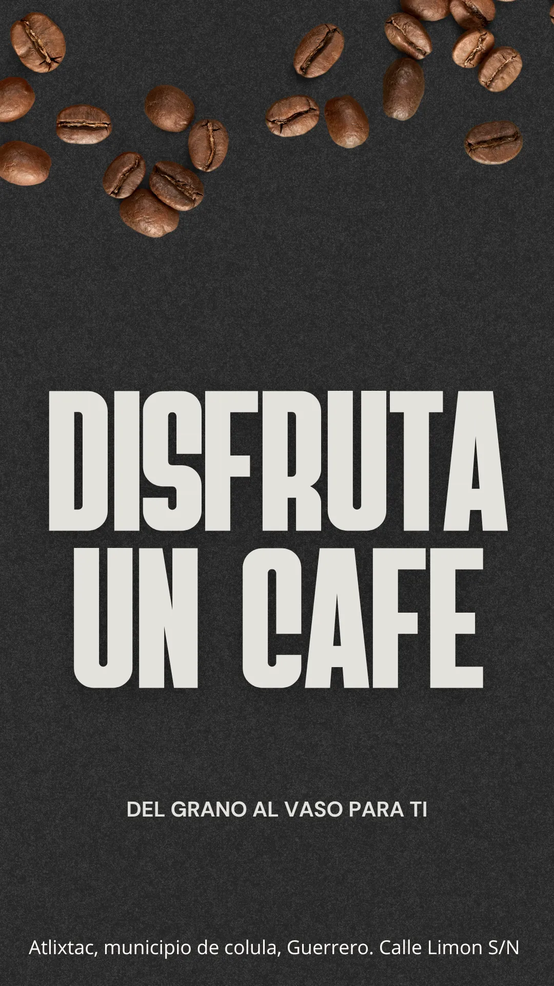 Diseño 13