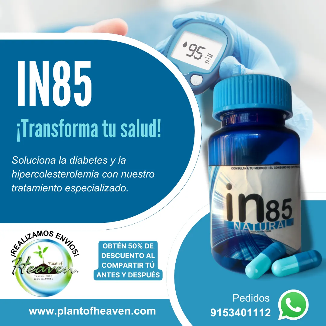 Diseño 2