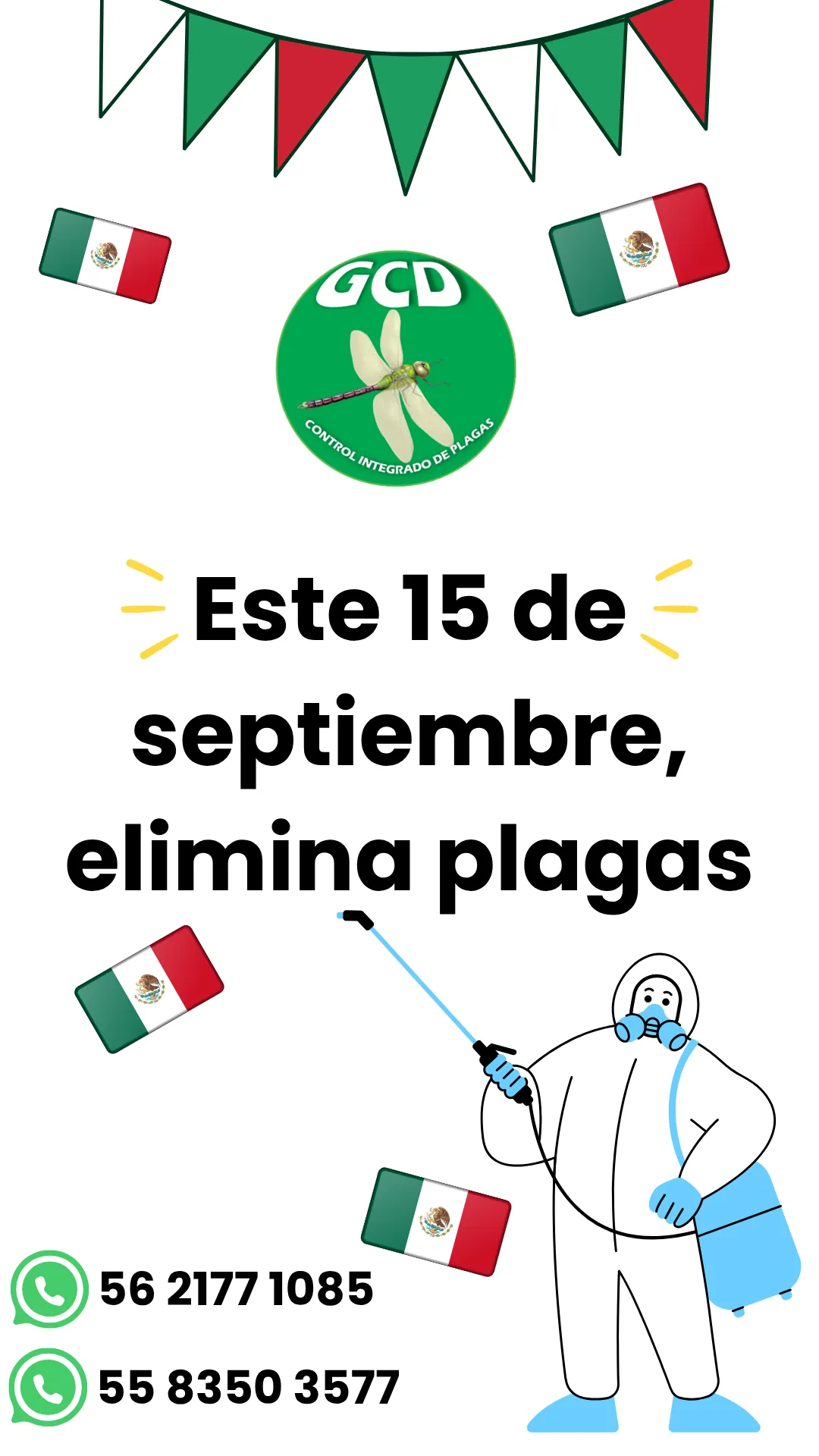 Diseño 77