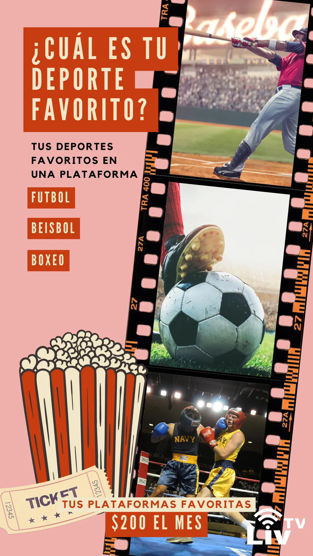 Diseño 14