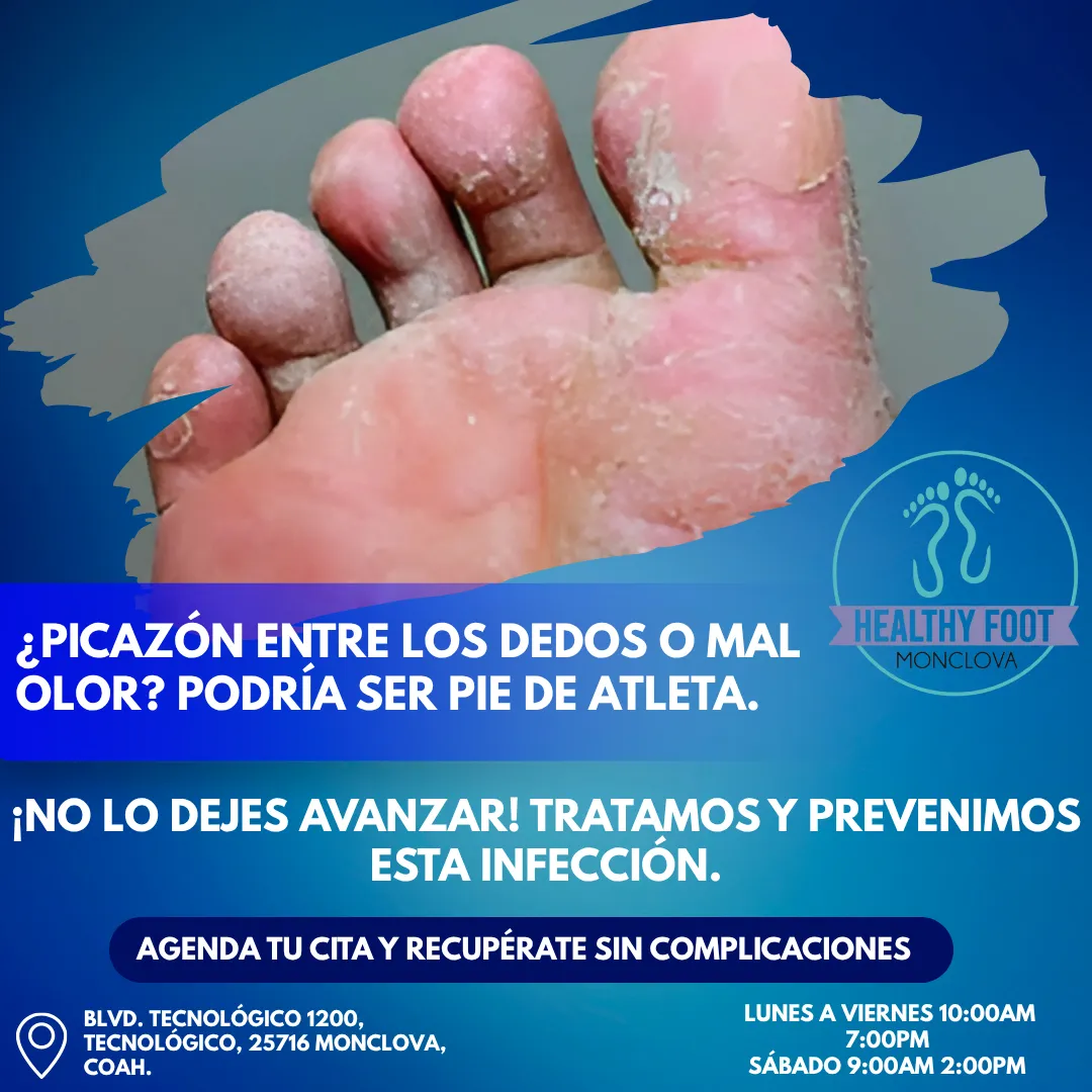 Diseño 143