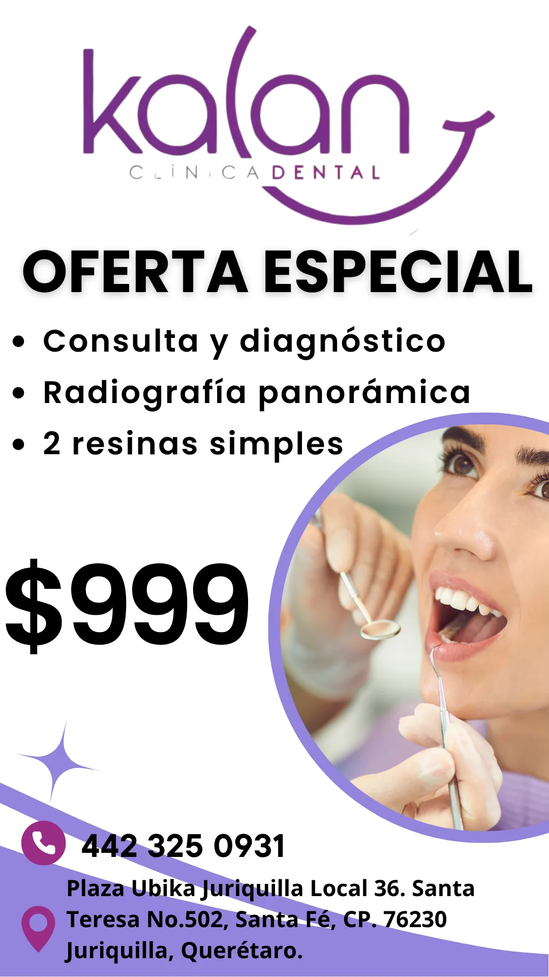 Diseño 131