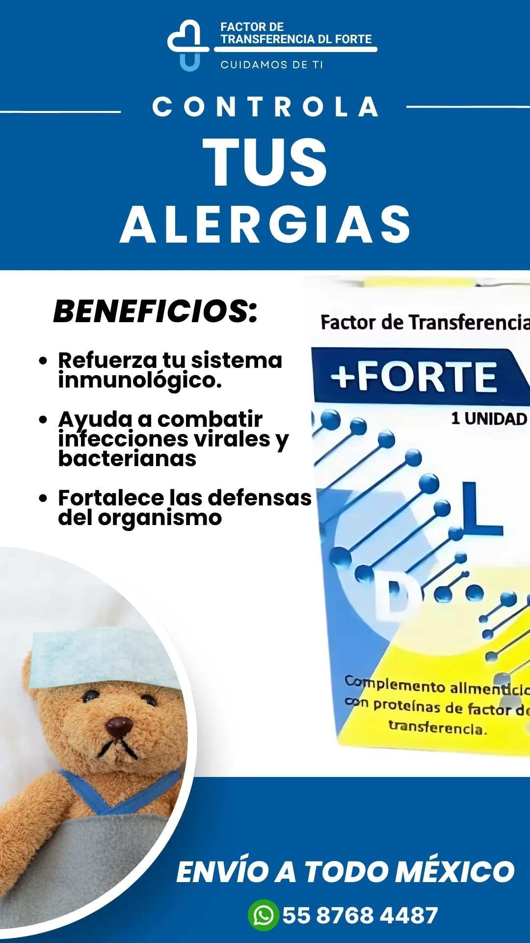 Diseño 13