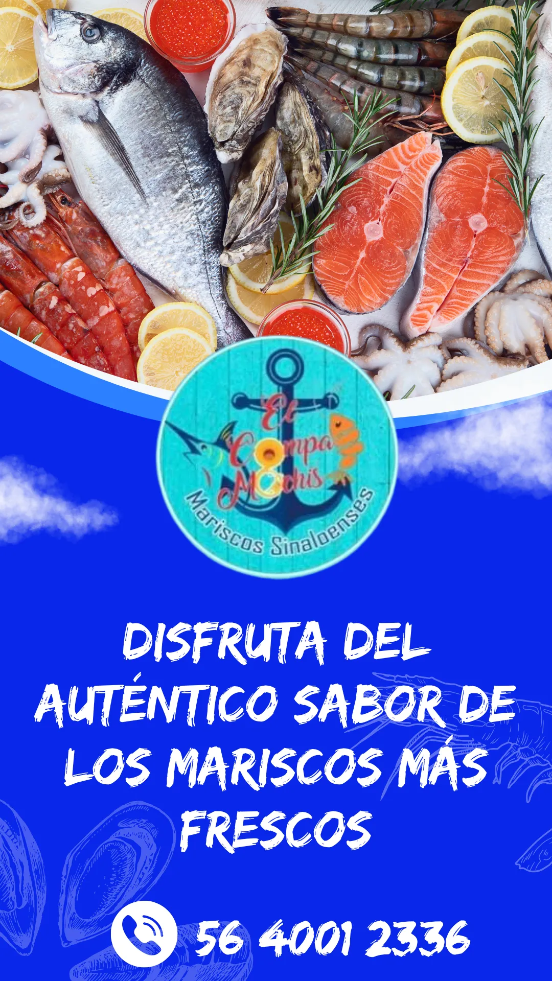 Diseño 12