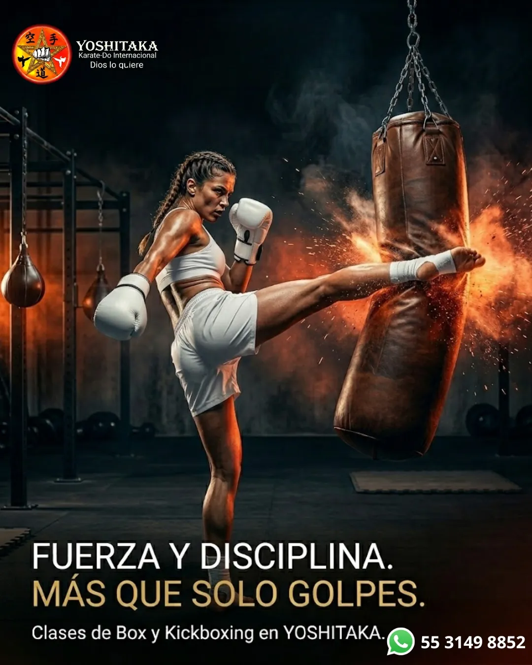 Diseño 11