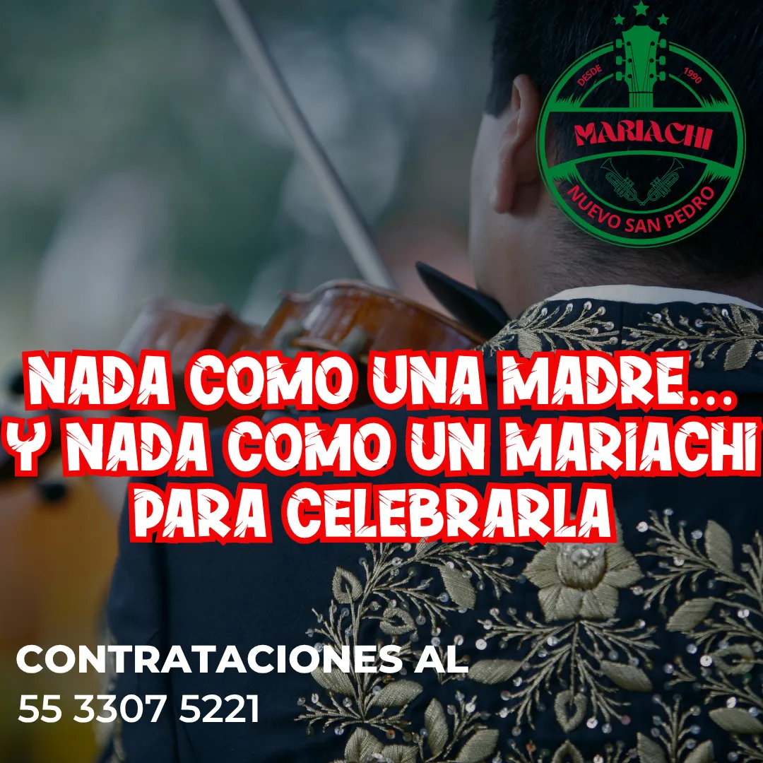 Diseño 88
