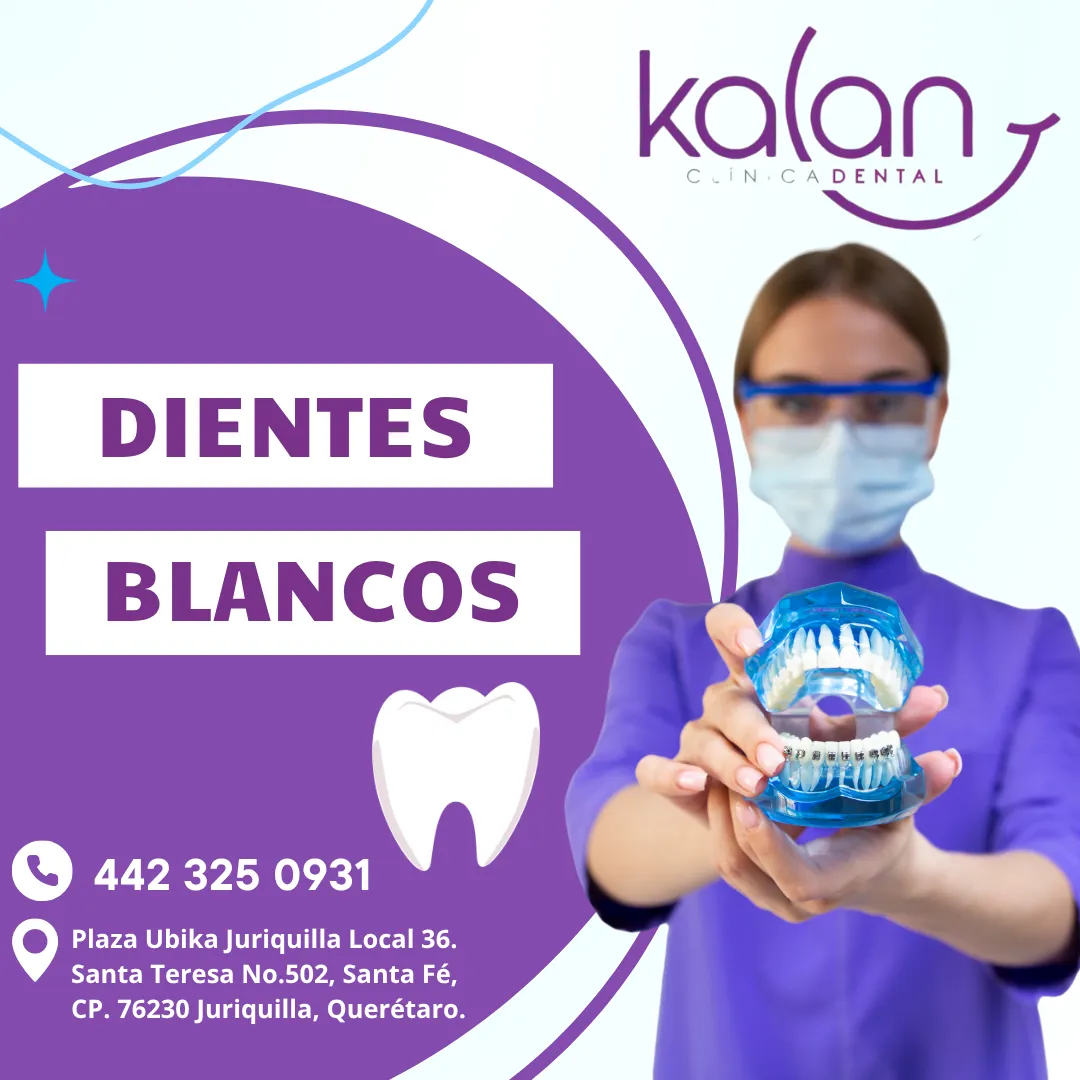 Diseño 102