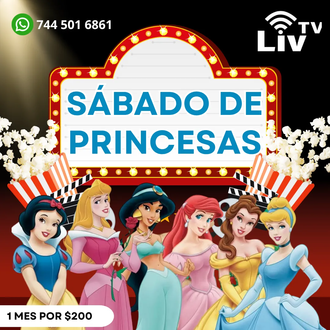 Diseño 6