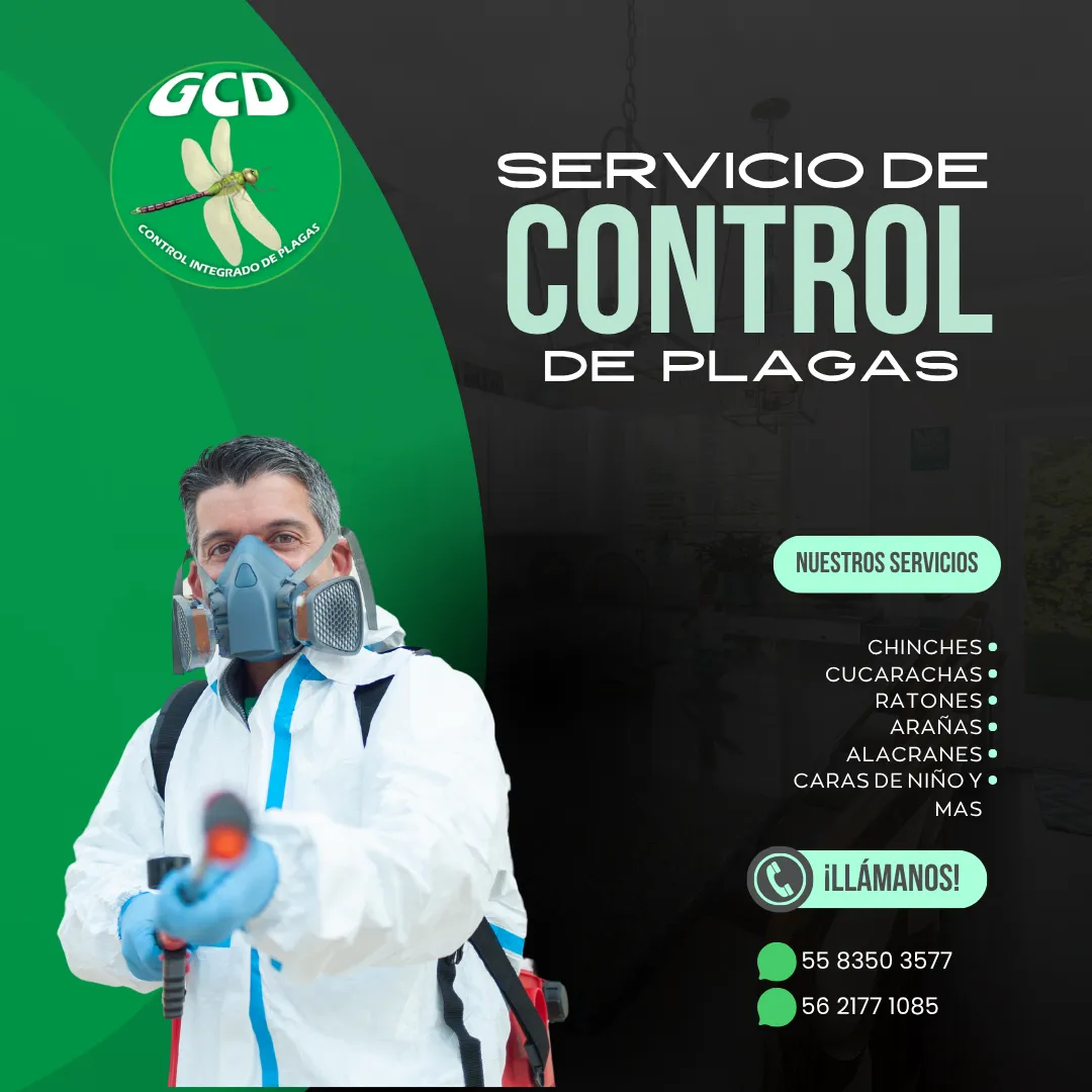 Diseño 28