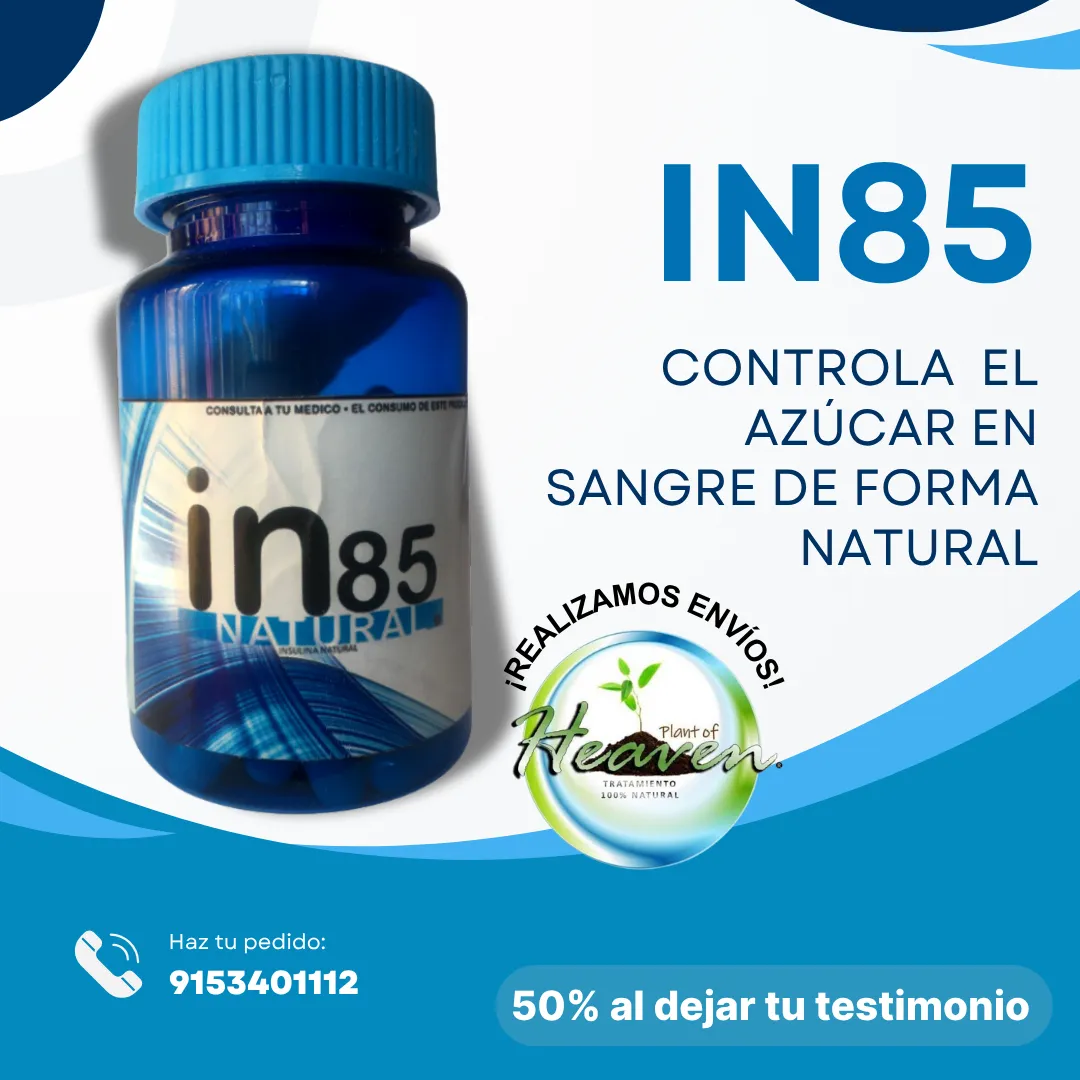 Diseño 17