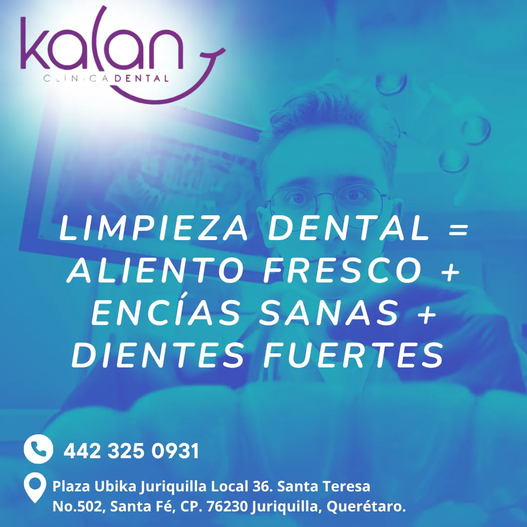 Diseño 103