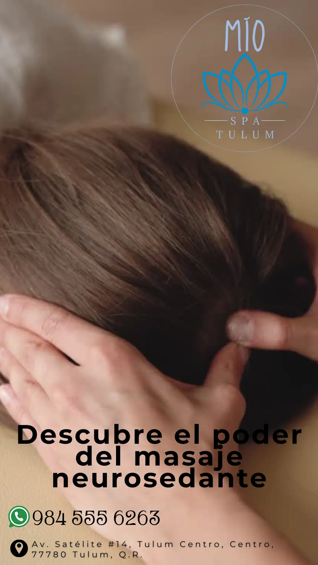 Diseño 6