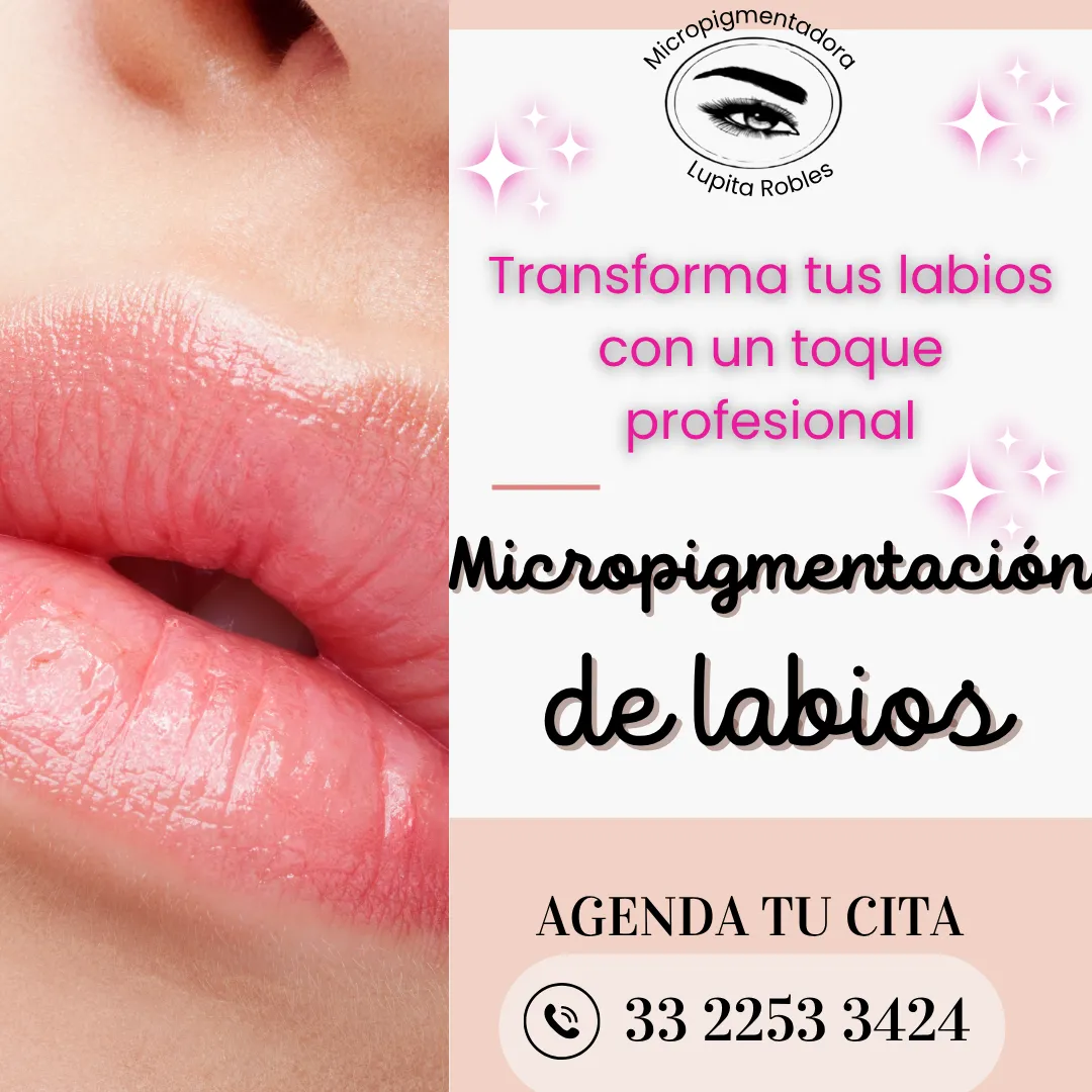 Diseño 47