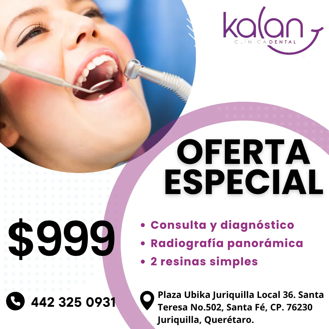 Diseño 97