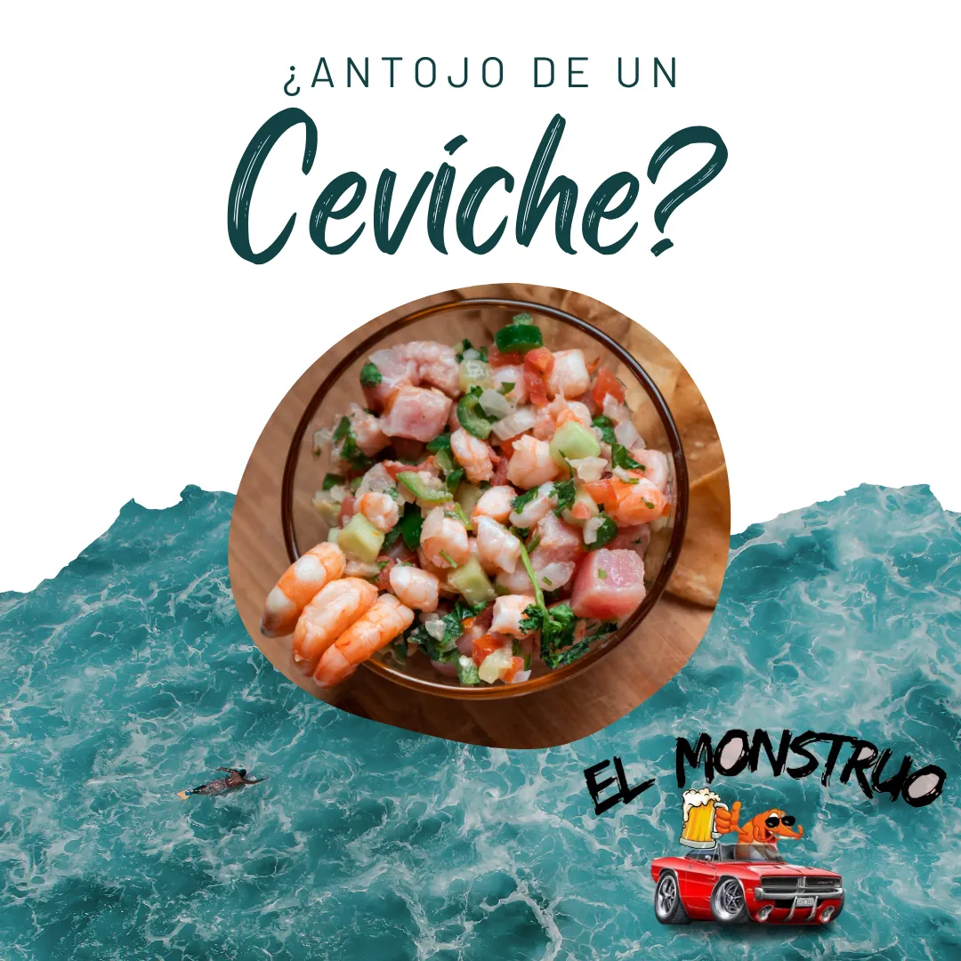 Diseño 19