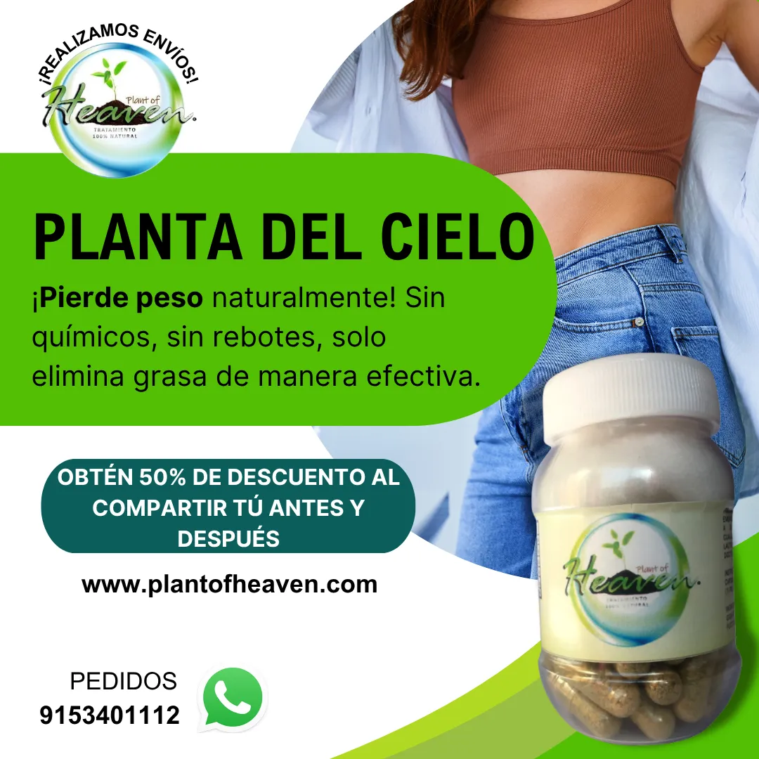 Diseño 4