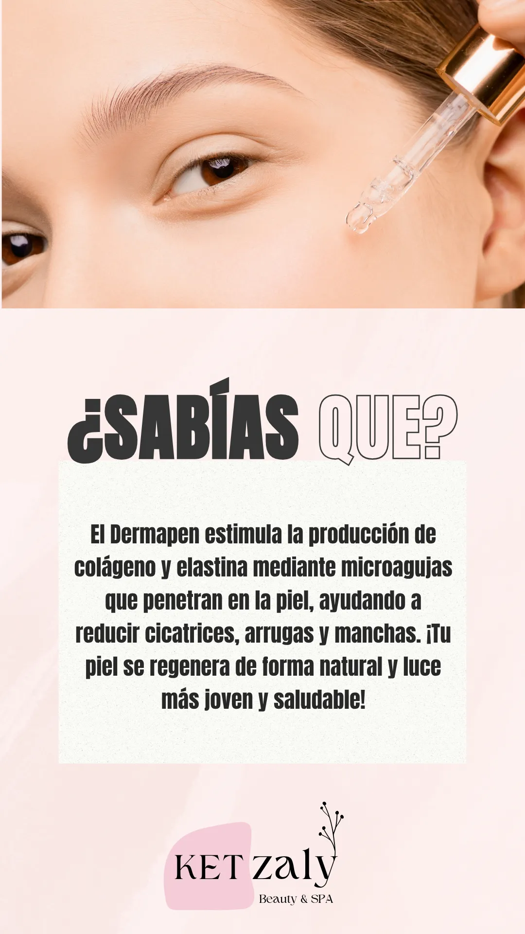Diseño 55
