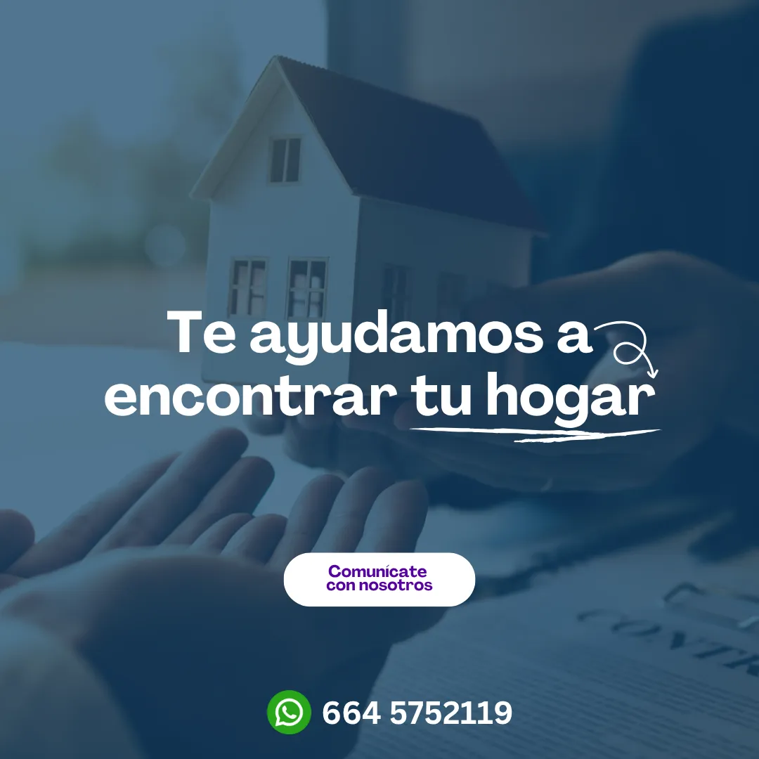 Diseño 42
