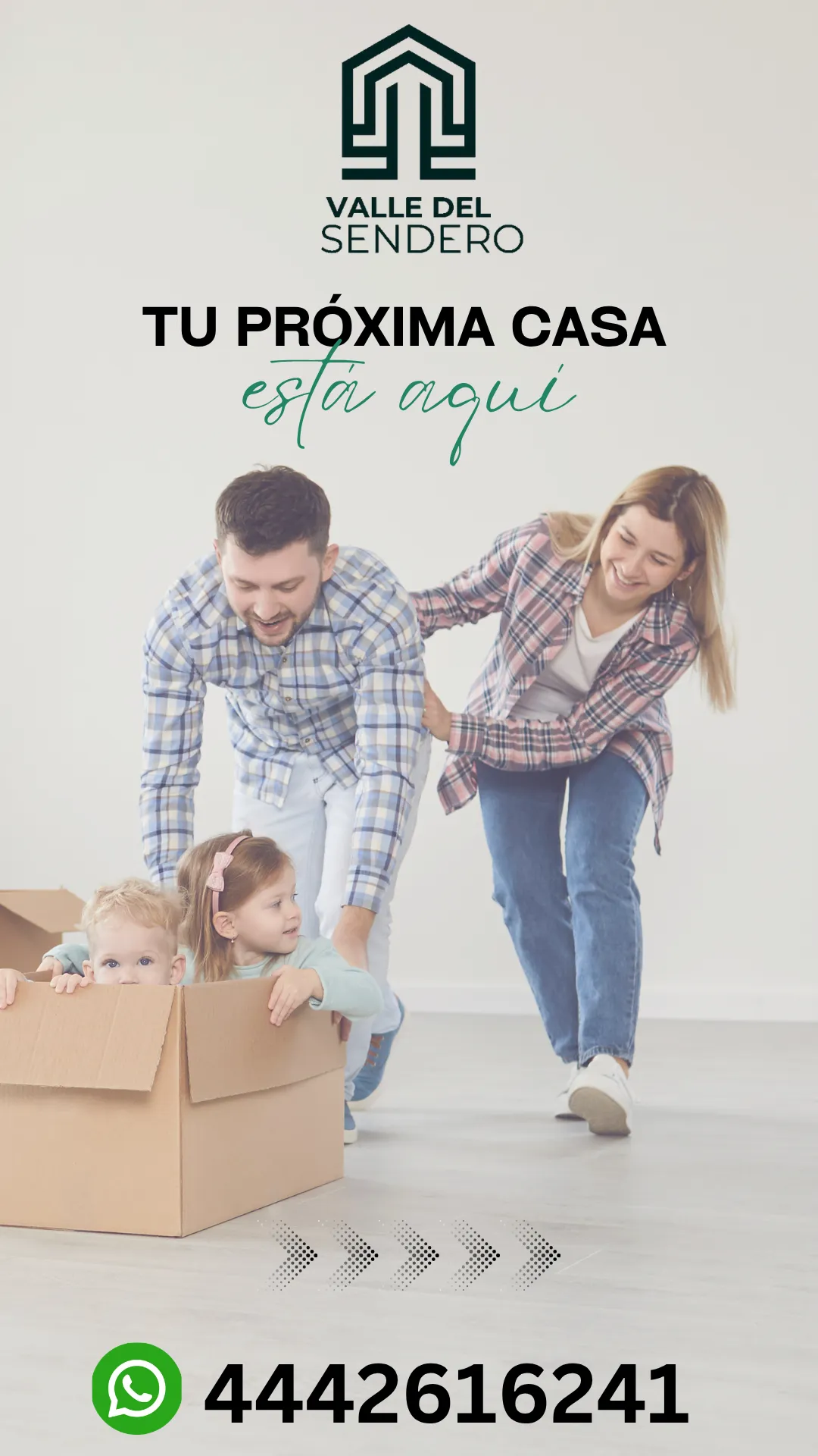 Diseño 17