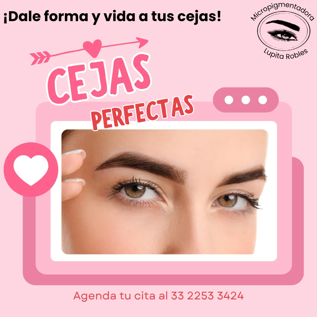 Diseño 62