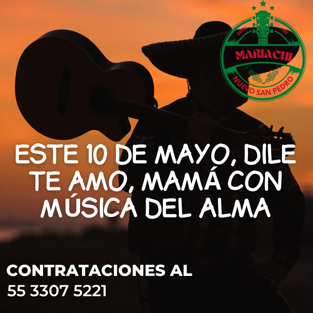 Diseño 87