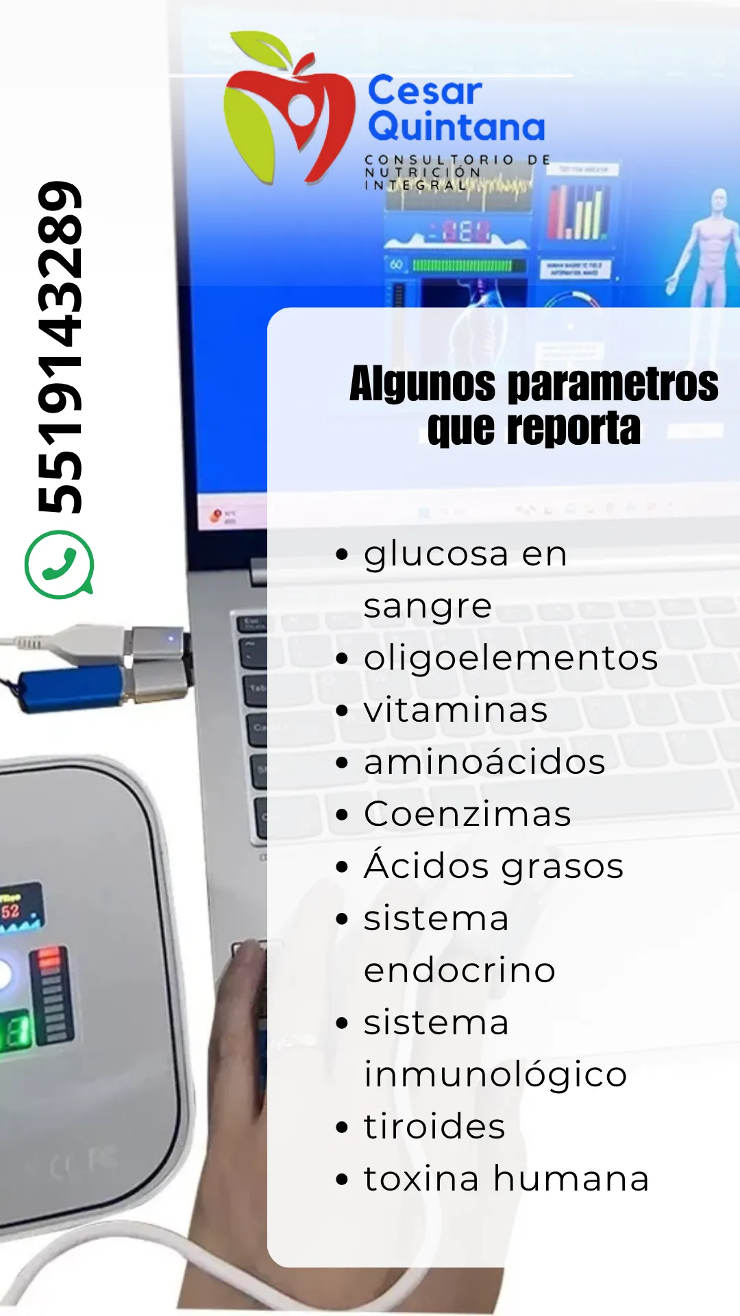 Diseño 48