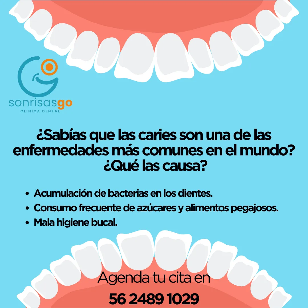 Diseño 66