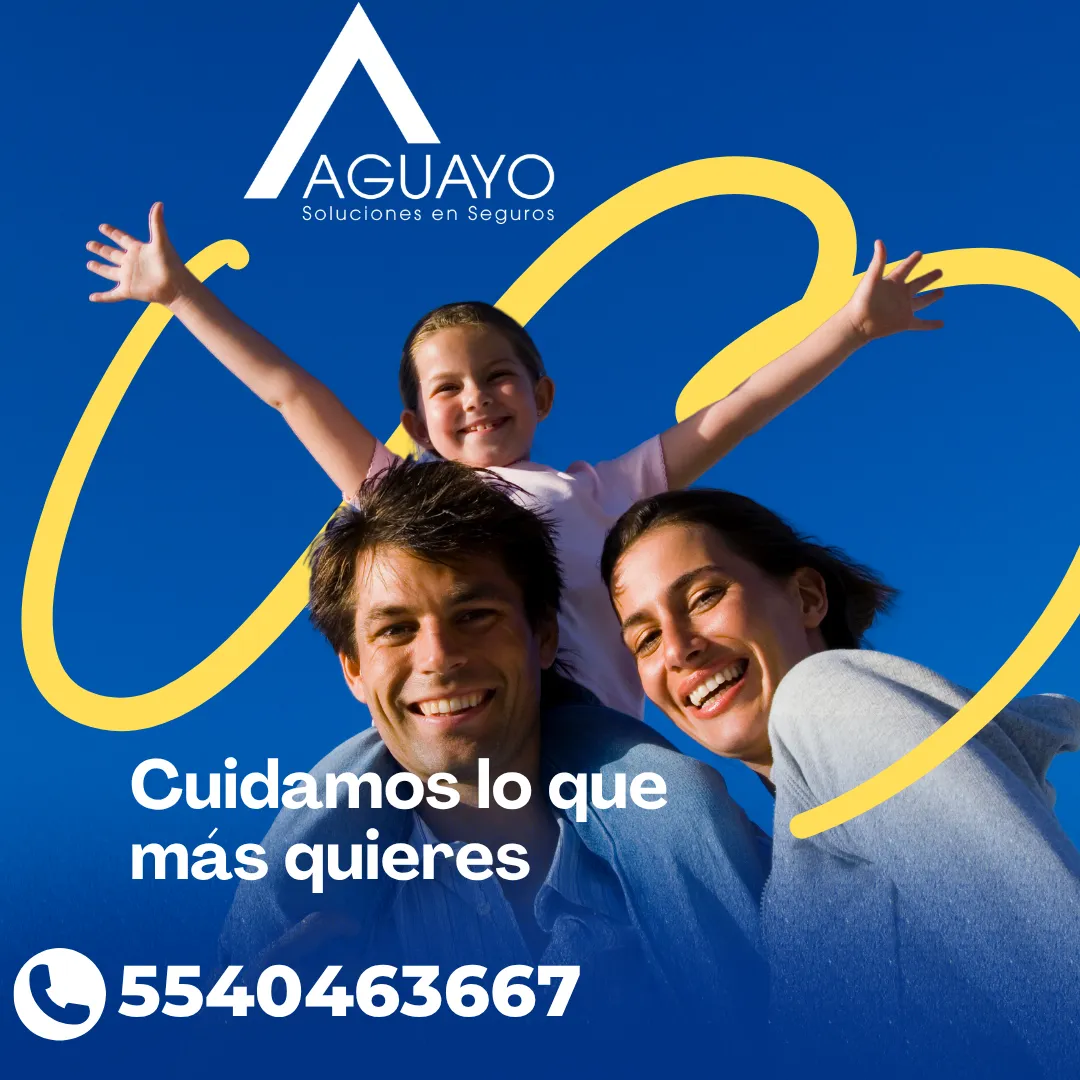 Diseño 20